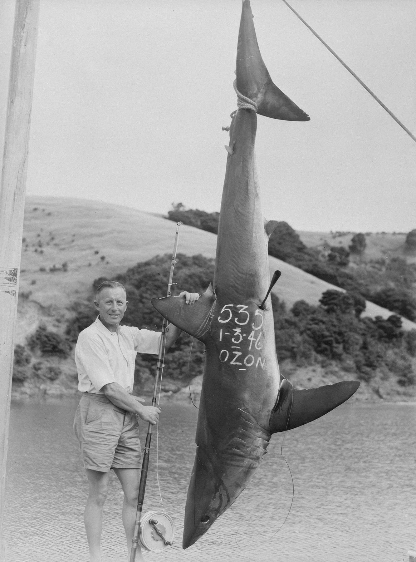 The Great Catch