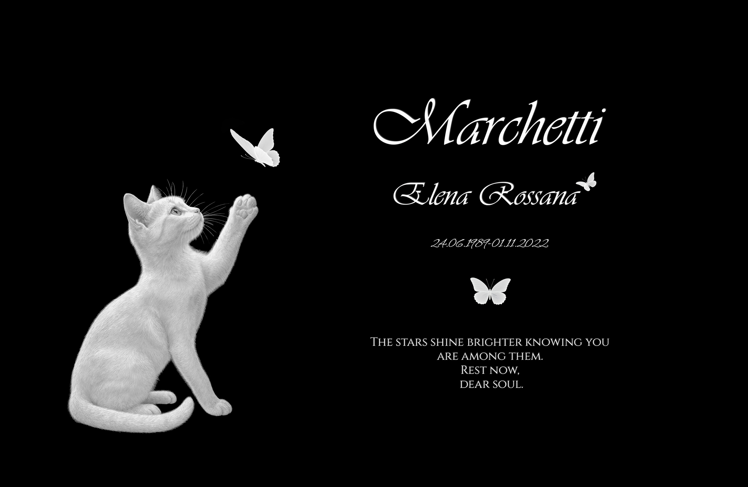 The Butterfly Vigil
