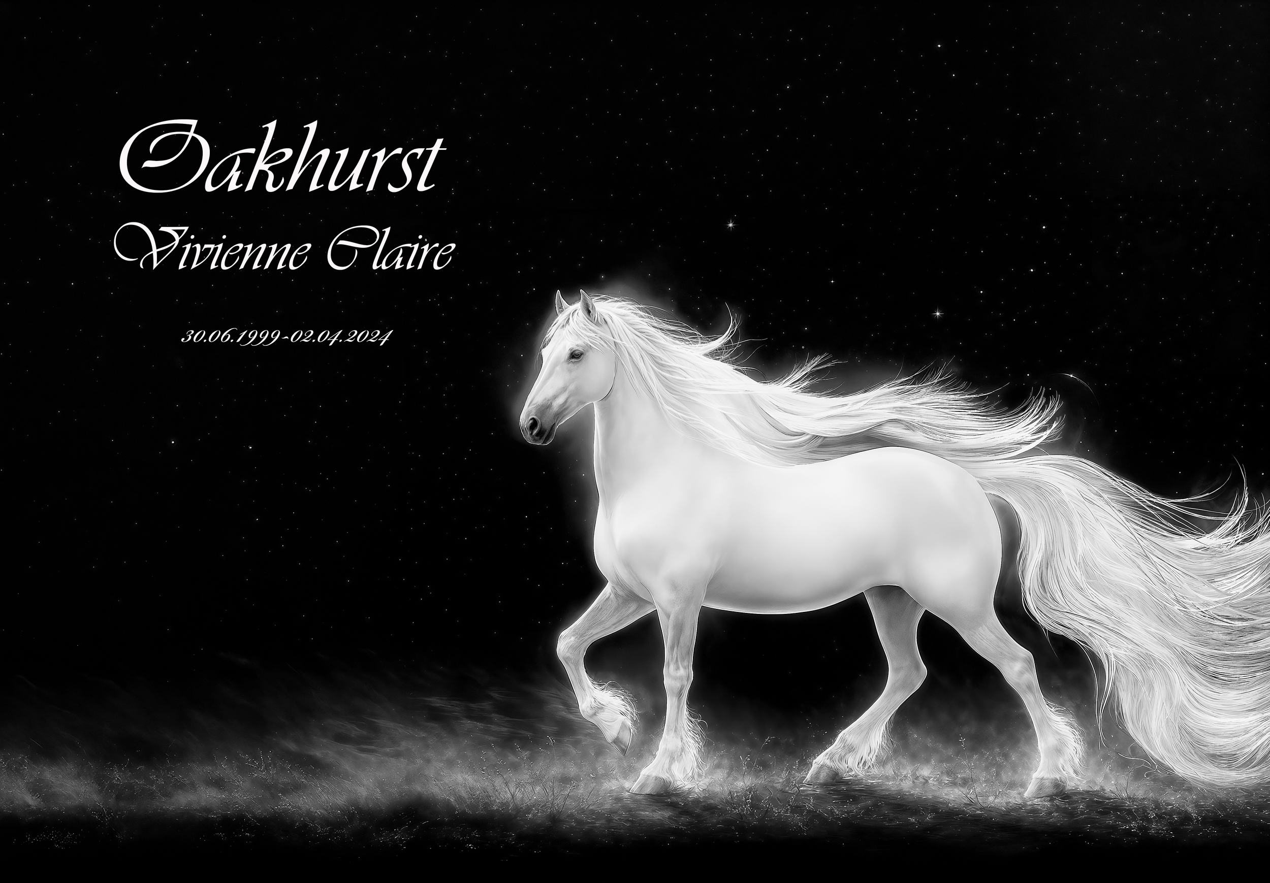 The Cosmic Steed
